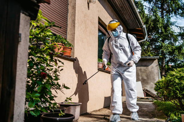 Best Pest Control Treatment  in Mount Vernon, IA