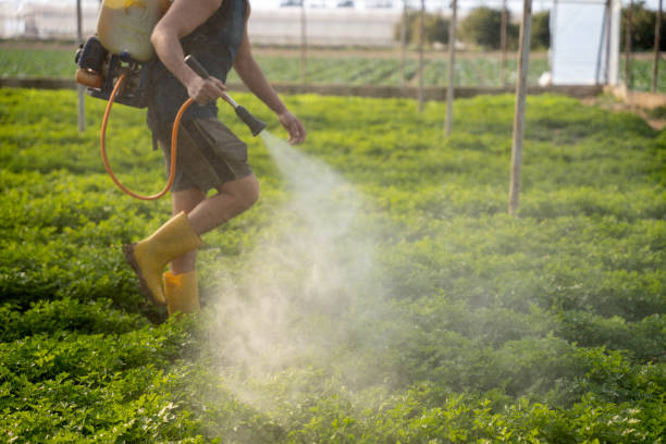 Trusted Mount Vernon, IA Pest Control Experts