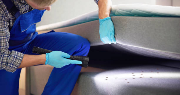 Best Pest Control Near Me  in Mount Vernon, IA