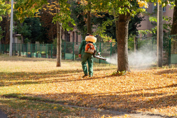 Best Residential Pest Control  in Mount Vernon, IA
